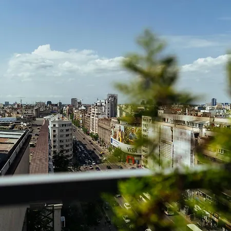 Wilson Old Roof Bukarest