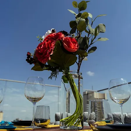 Daire Wilson Old Roof