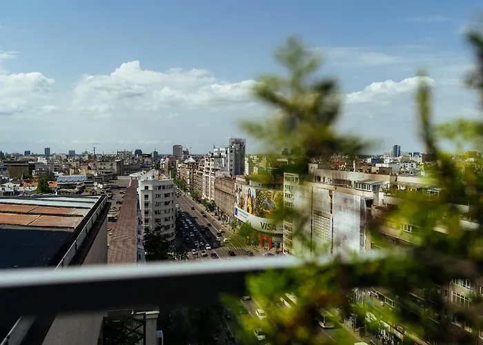 Wilson Old Roof Bucarest